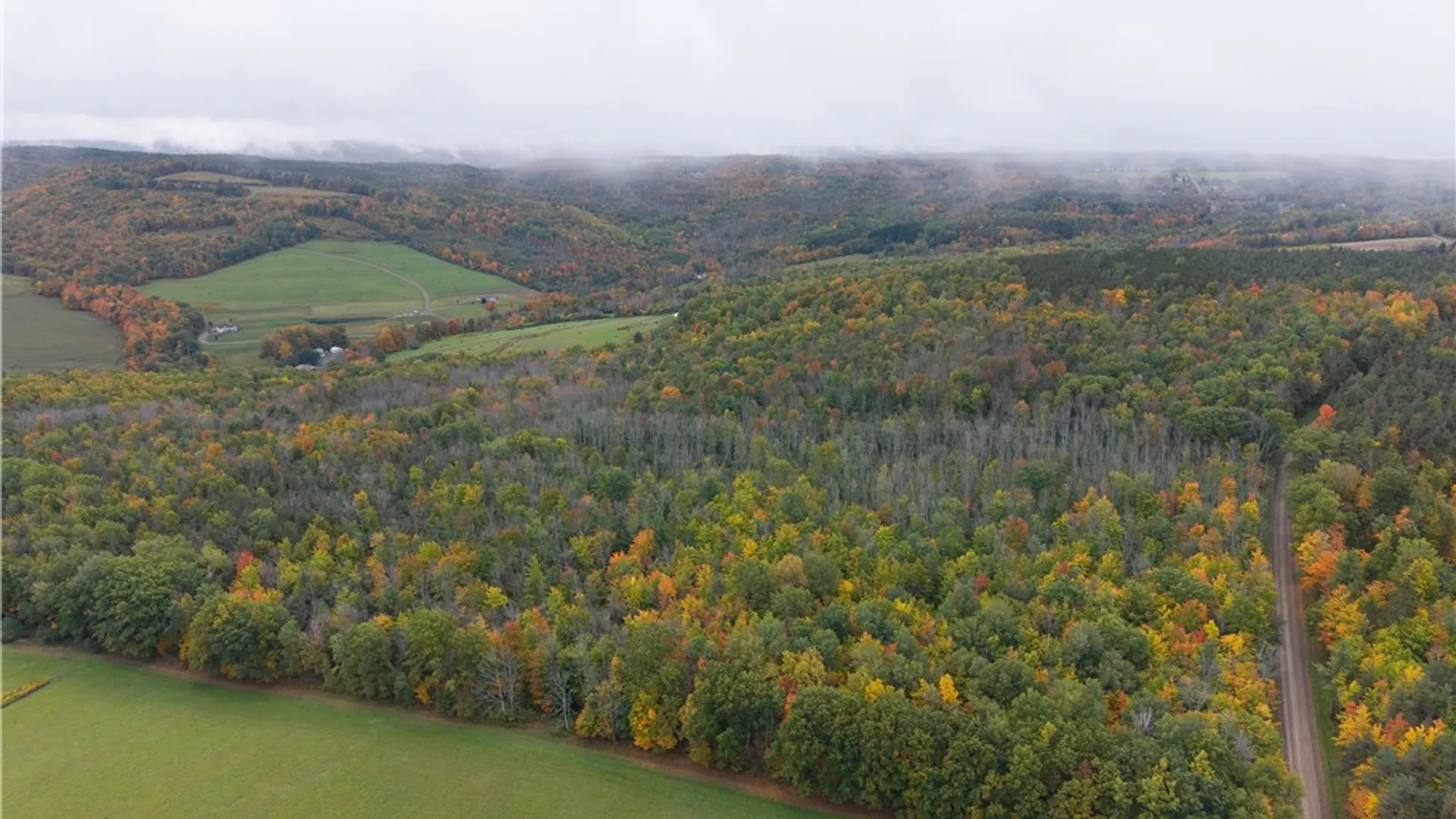 Property at Clark Road, Hornellsville, NY 14843 11
