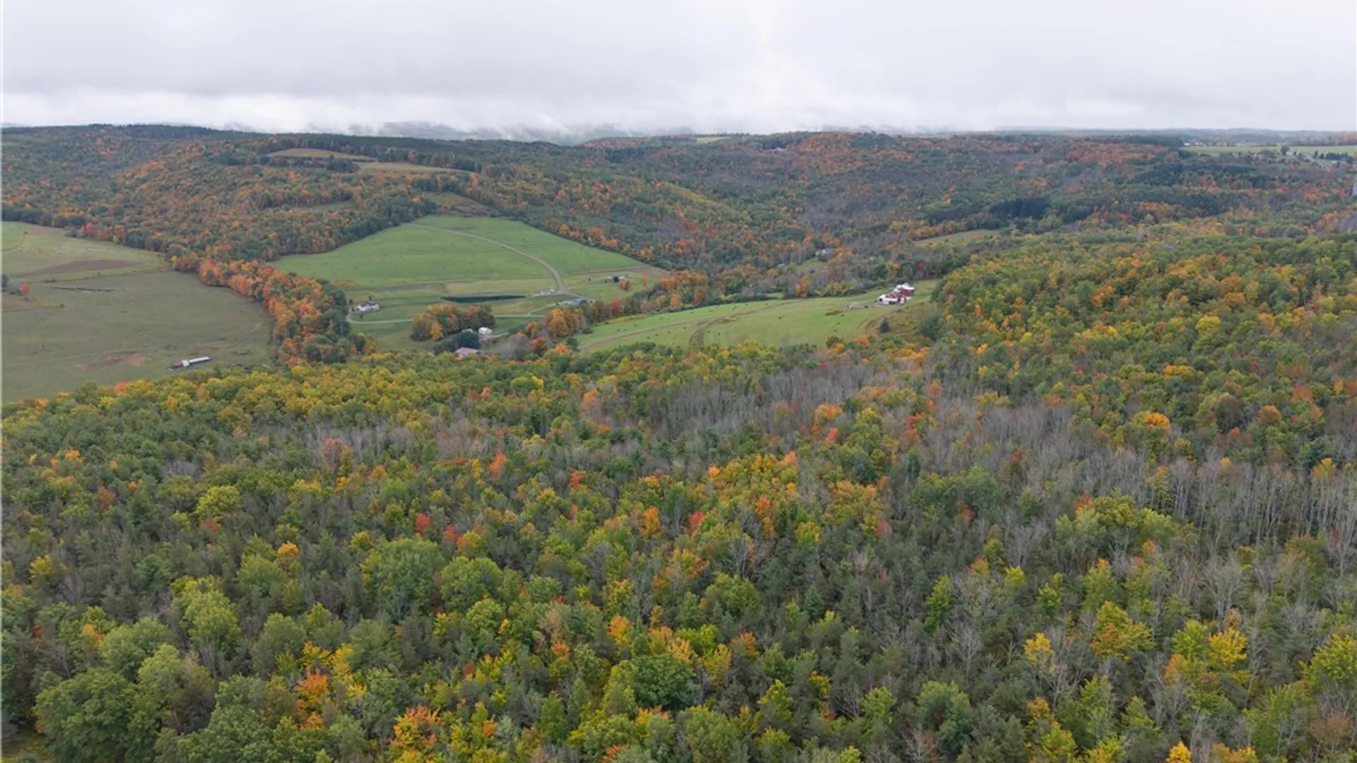 Property at Clark Road, Hornellsville, NY 14843 14