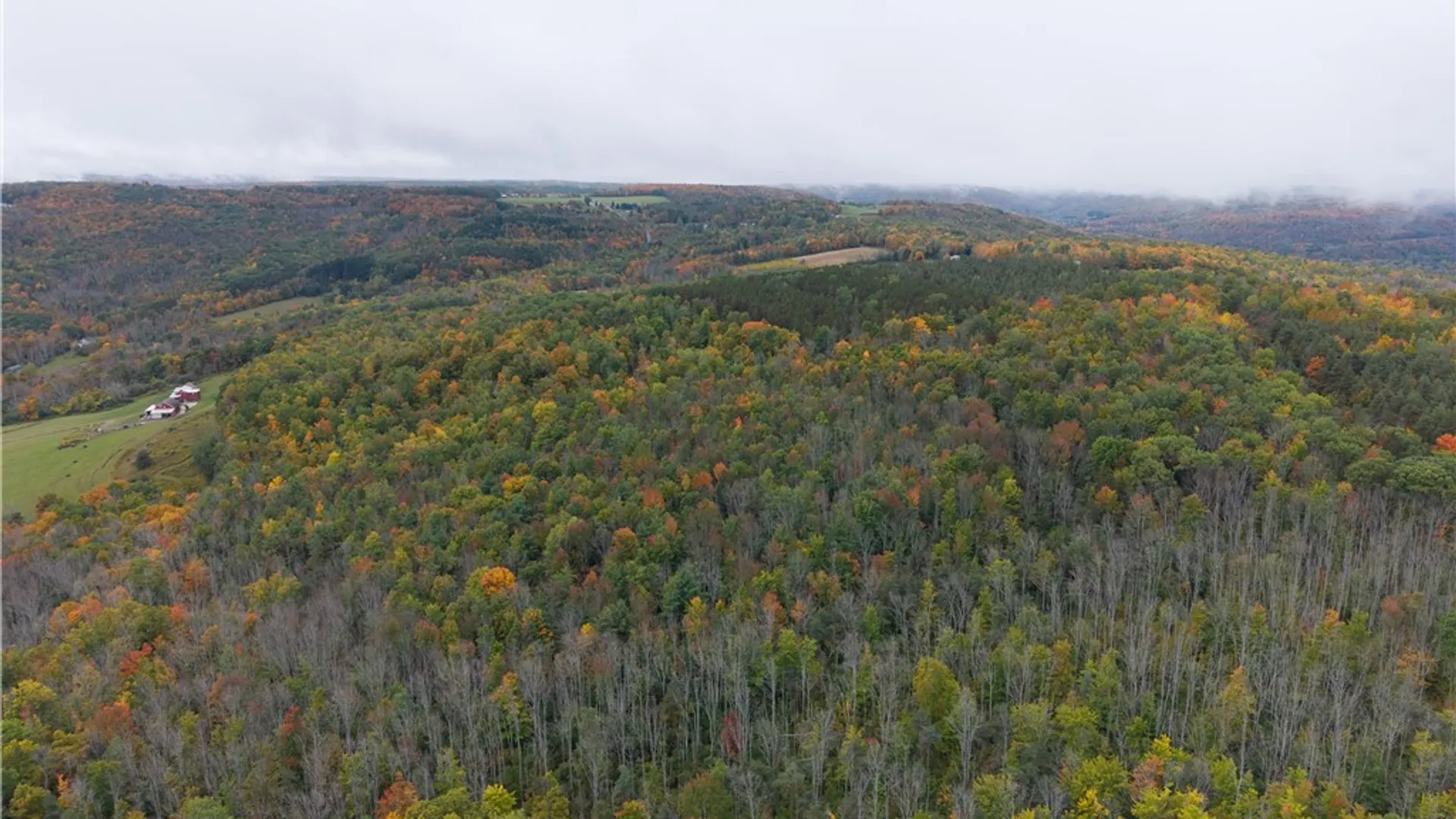Property at Clark Road, Hornellsville, NY 14843 15