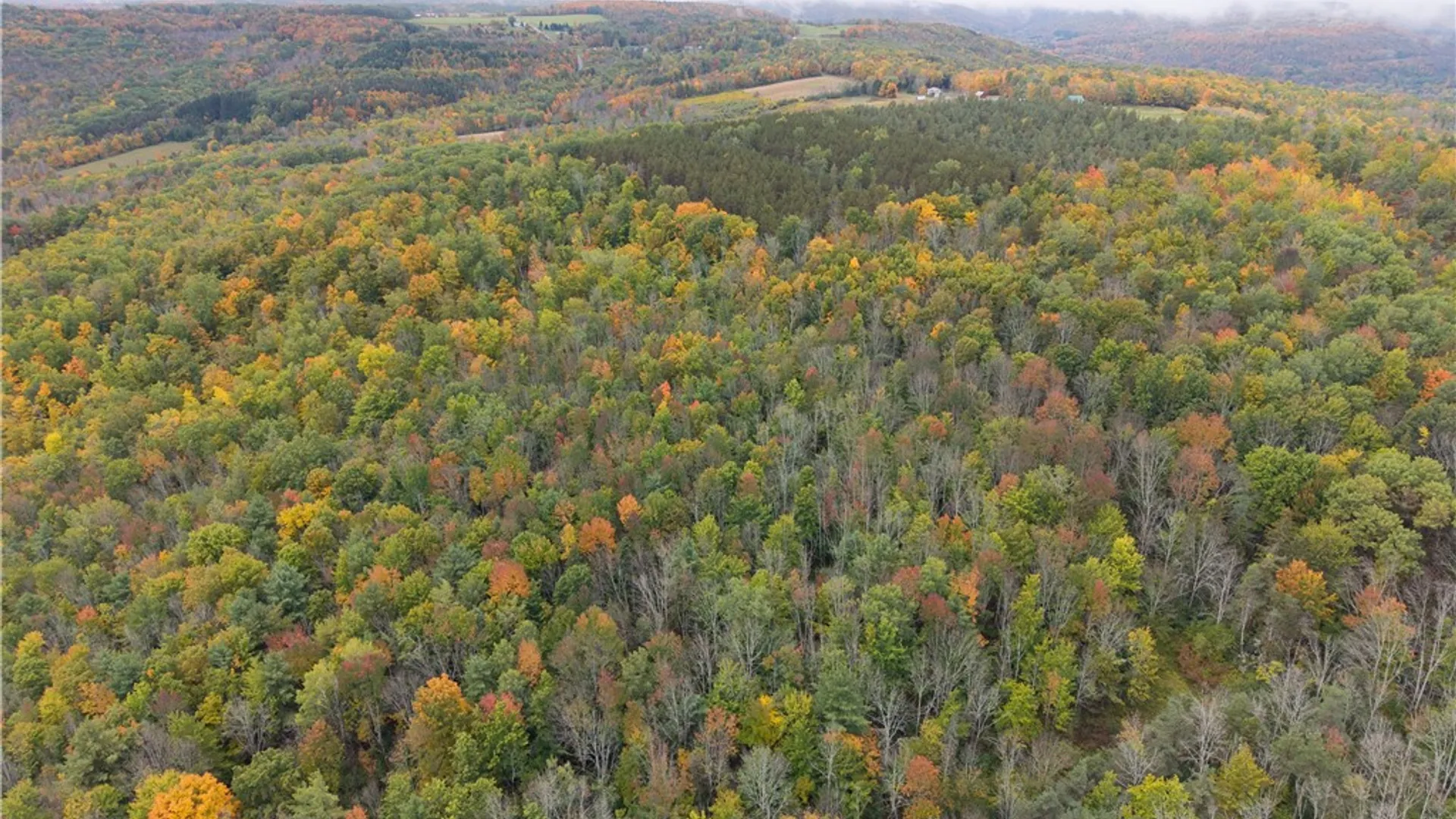 Property at Clark Road, Hornellsville, NY 14843 17