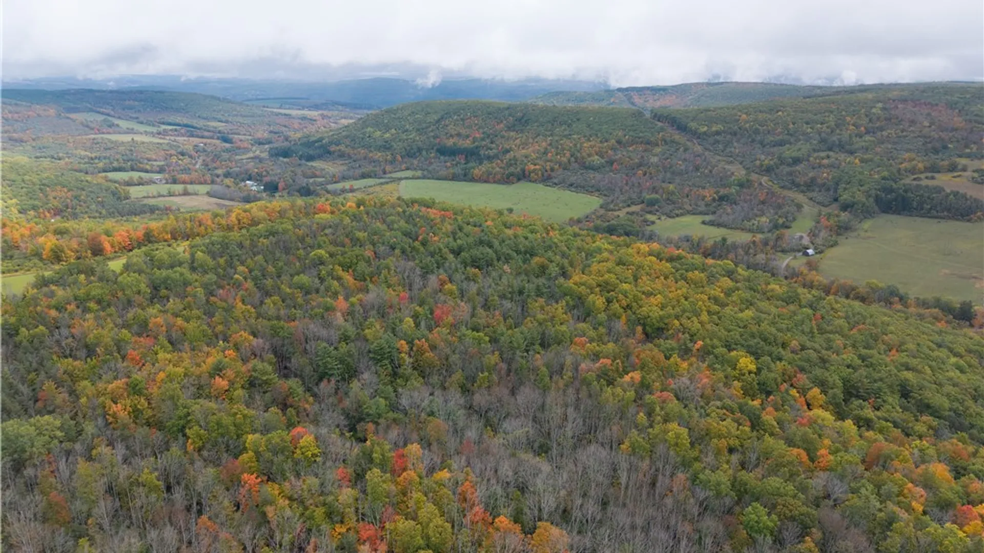 Property at Clark Road, Hornellsville, NY 14843 21