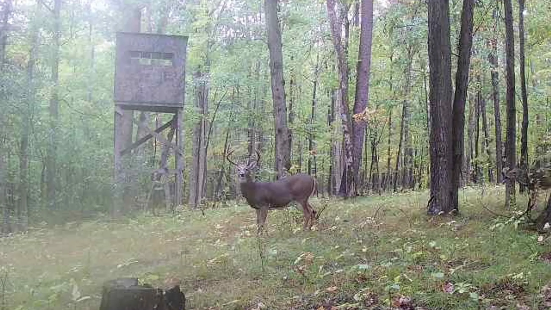 Property at Clark Road, Hornellsville, NY 14843 5