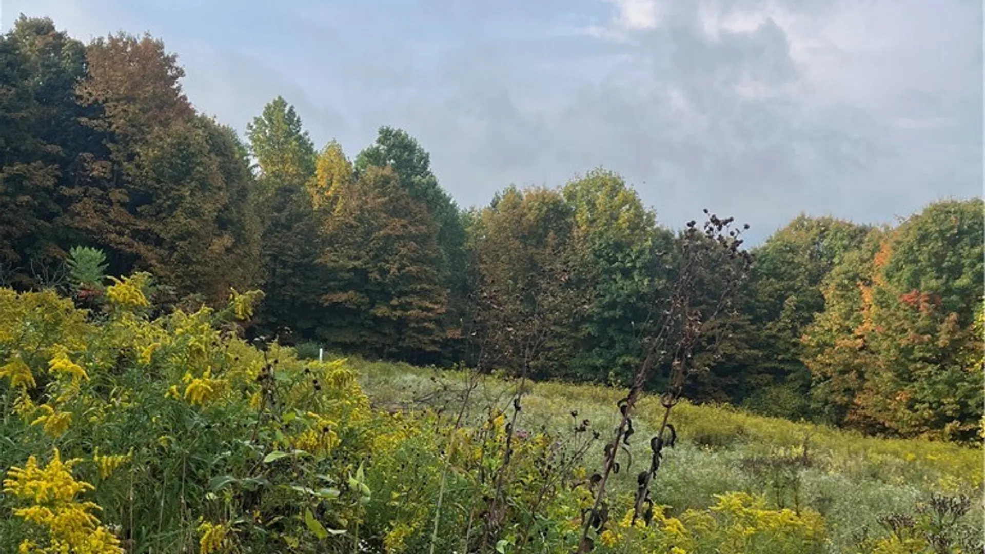 Property at Wattlesburg Road, Ripley, NY 14775 5