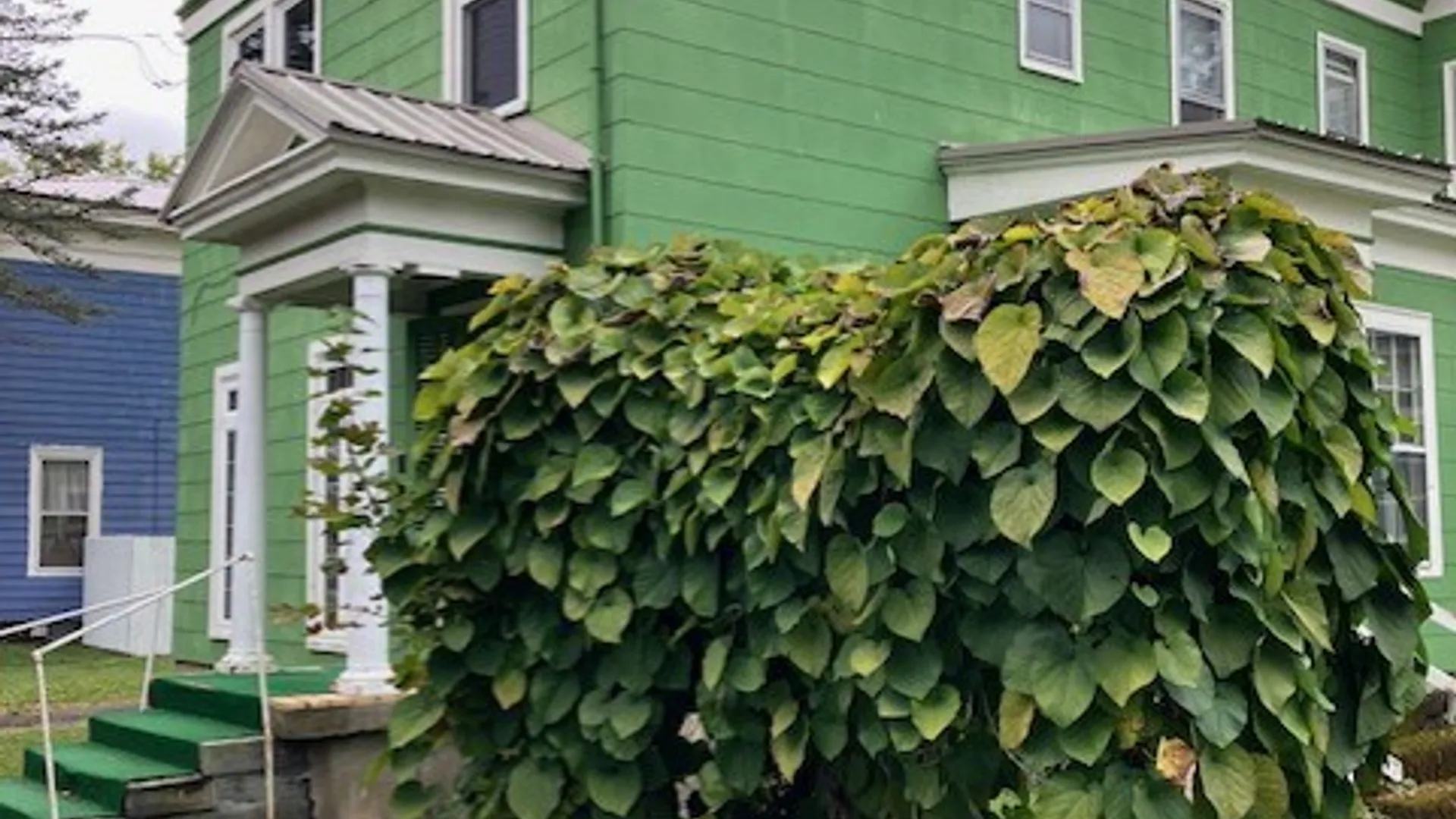 Property at 36 Hayes Street, Norwich, NY 13815 4