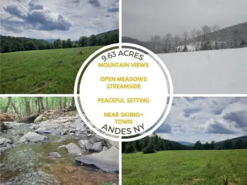 Property at TBD Lower Dingle Hill Road, Andes, NY 13731