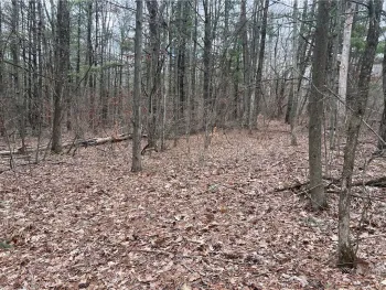 Property at Lot - 62.1 Welty Road, Lindley, NY 14858