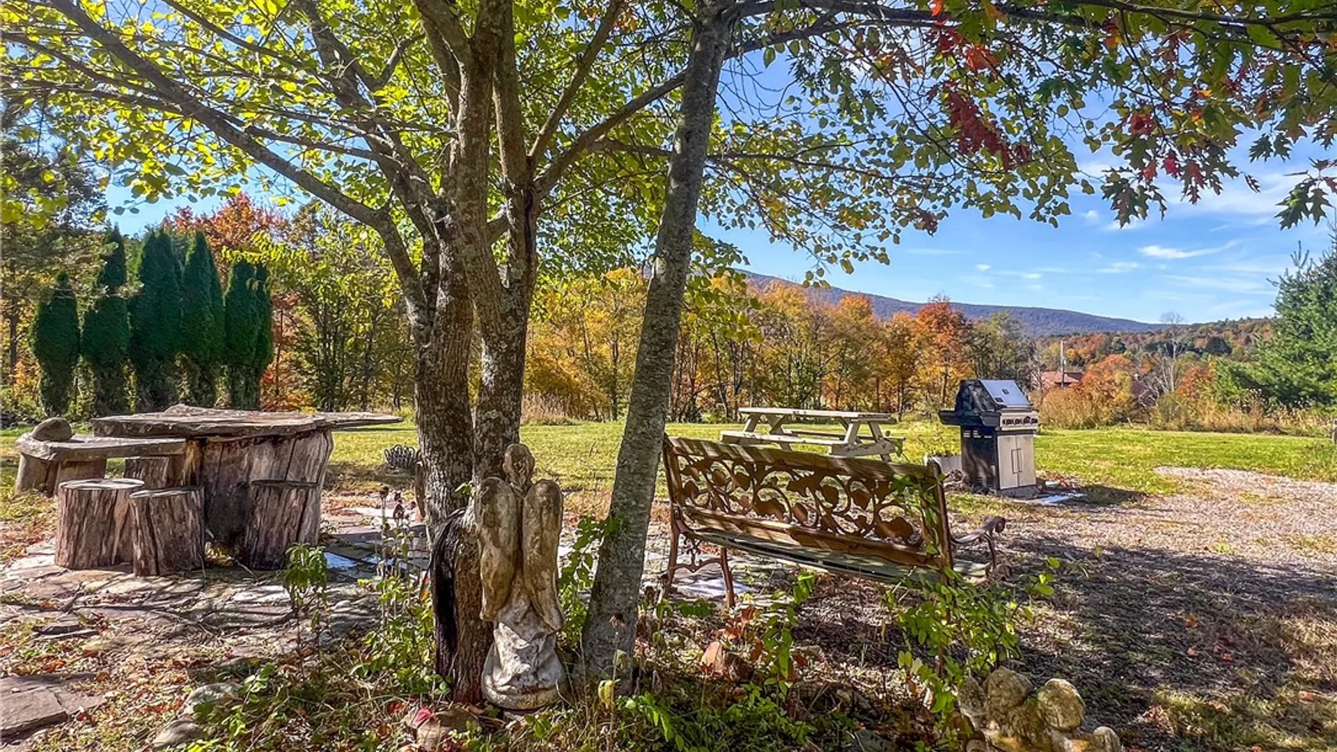 Property at 936 Potter Moutain Road, Conesville, NY 12076 42