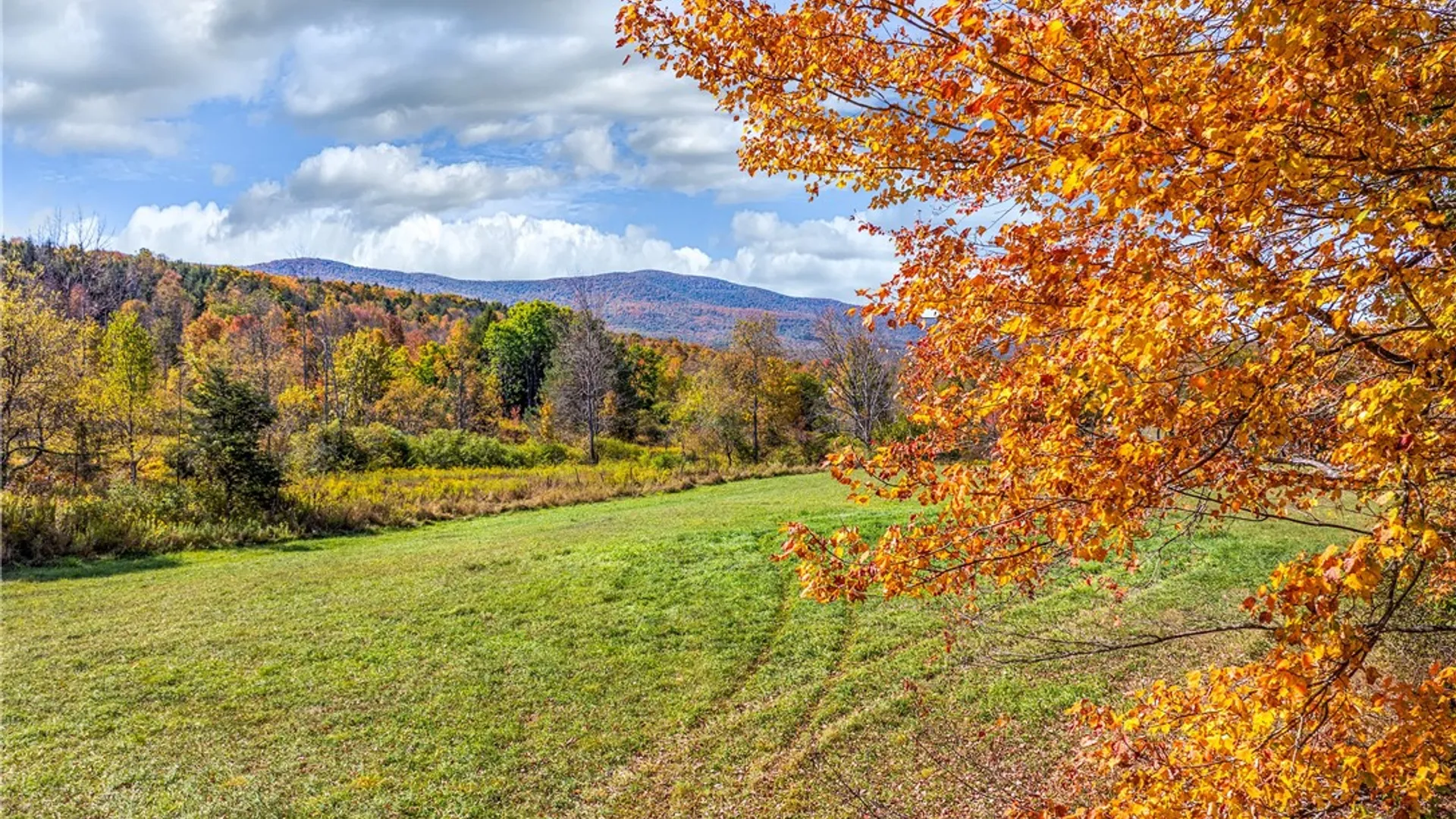Property at 936 Potter Moutain Road, Conesville, NY 12076 48