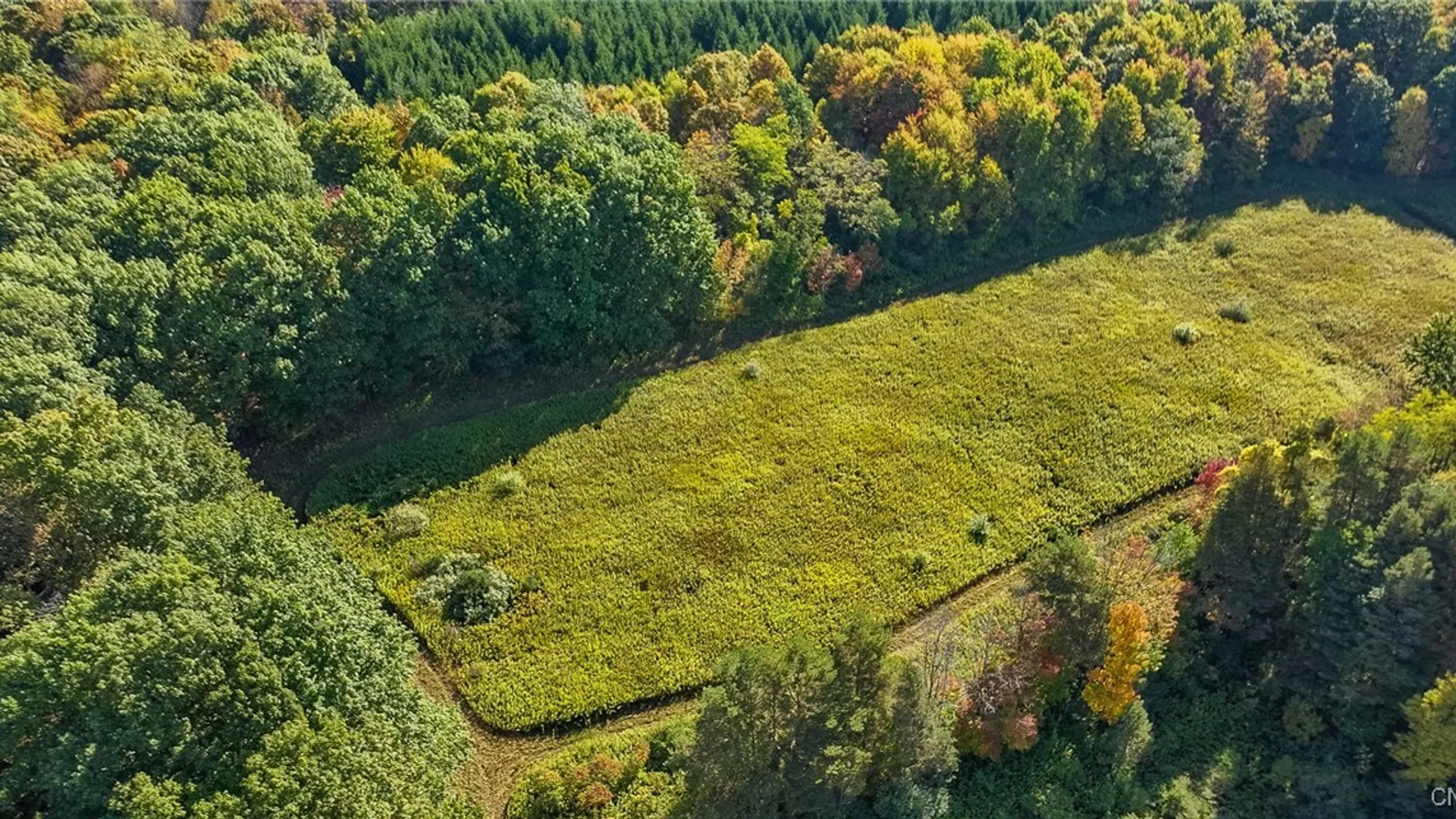 Property at L11 Hall Road, Moravia, NY 13118 17