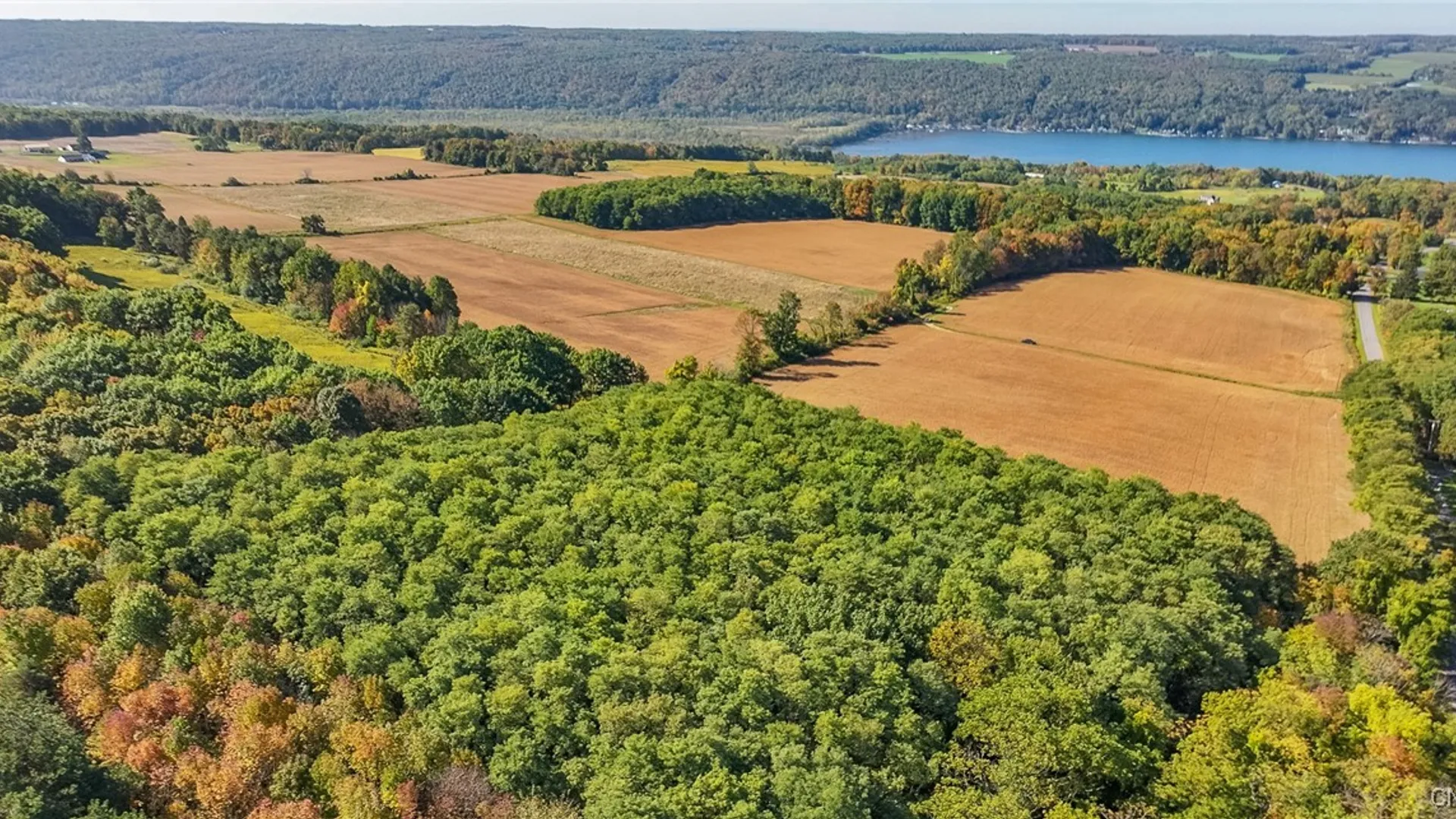 Property at L11 Hall Road, Moravia, NY 13118 12