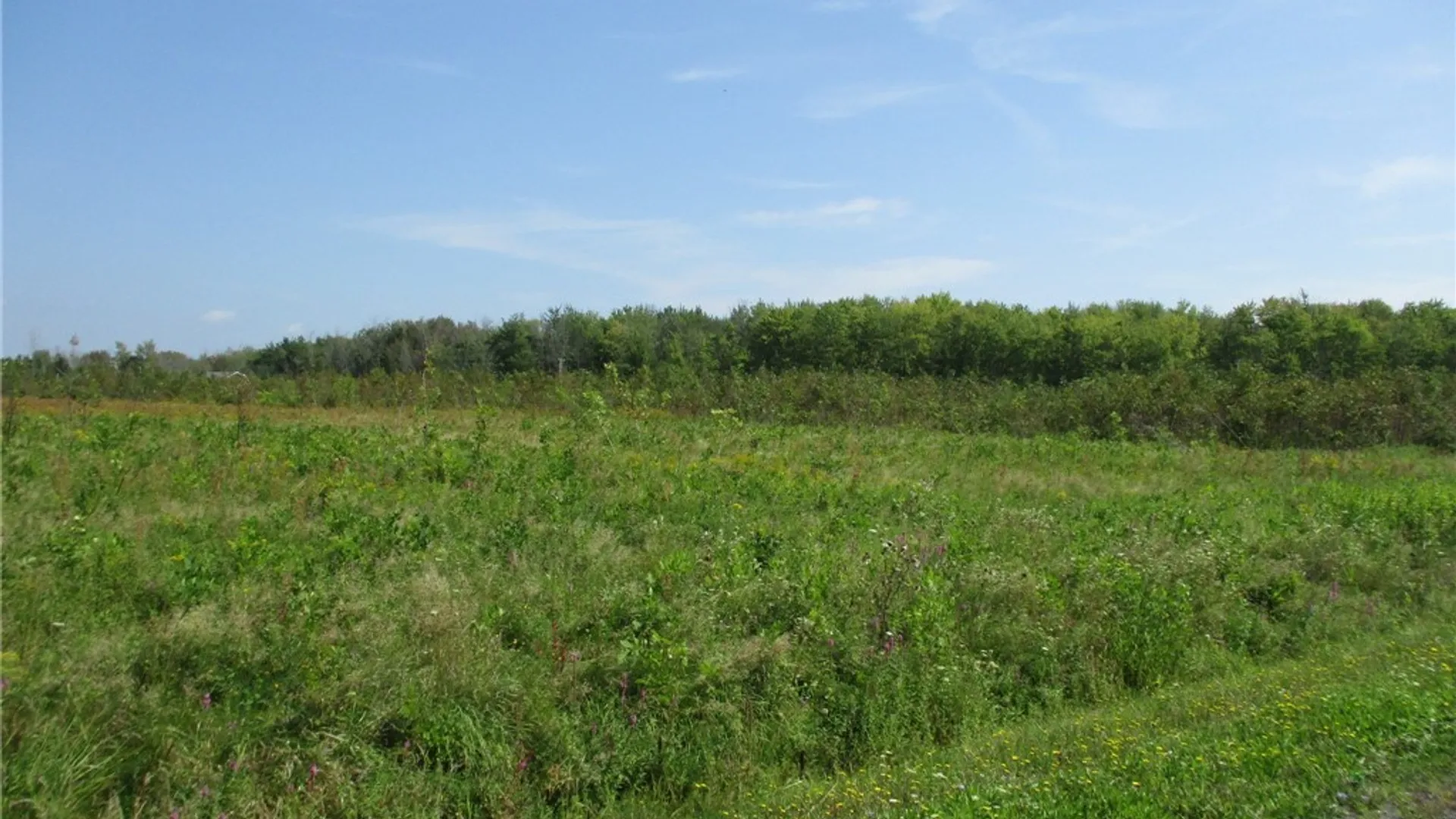 Property at 03 Hitchcock Point Road, Sullivan, NY 13037 10
