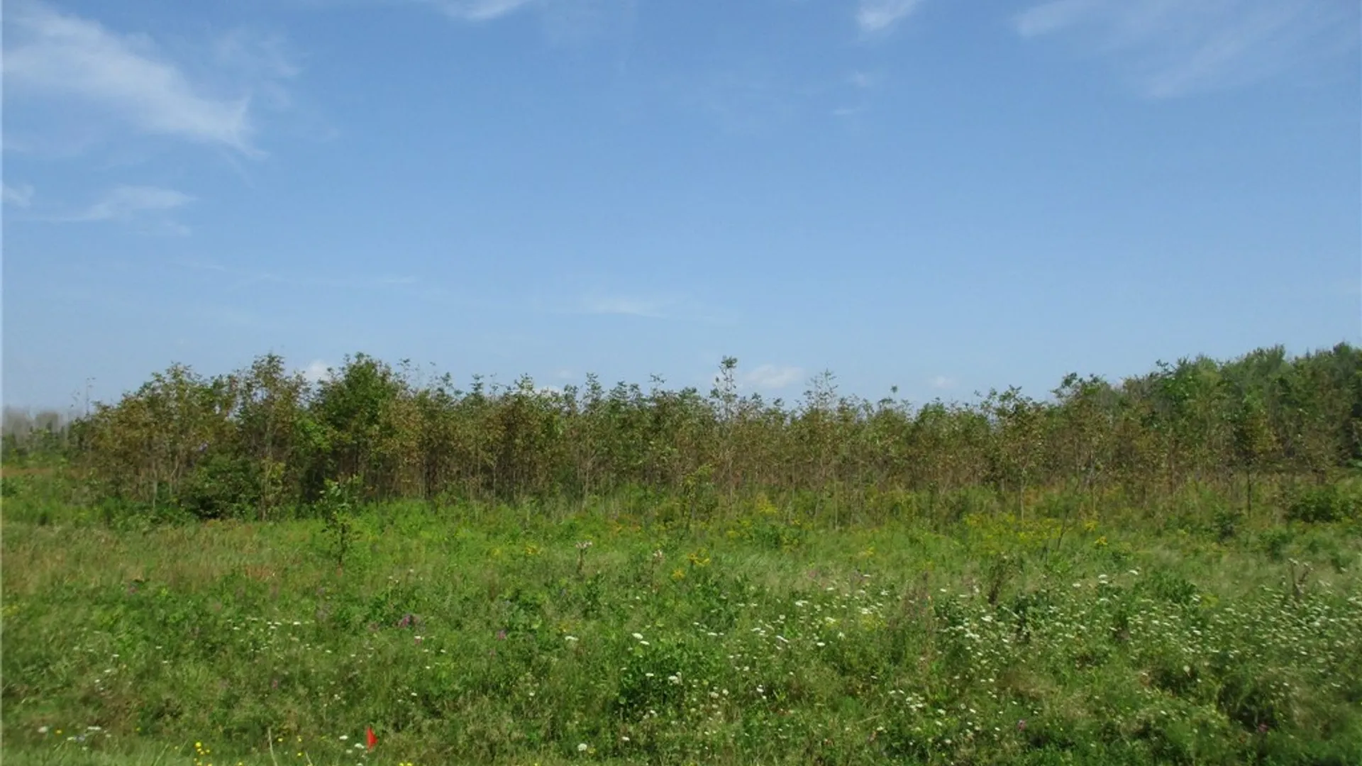 Property at 03 Hitchcock Point Road, Sullivan, NY 13037 13