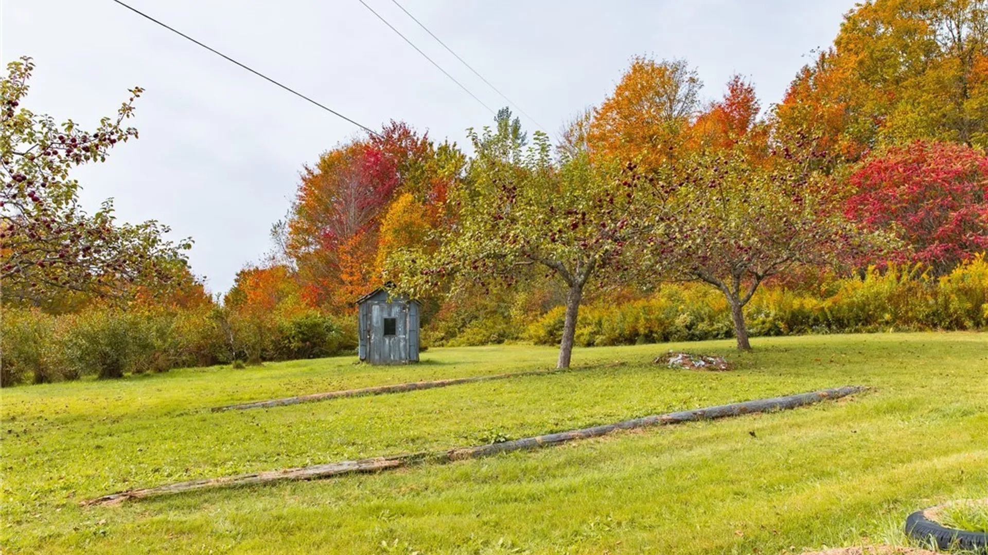 Property at 181 Peraglie Road, Jefferson, NY 12093 11