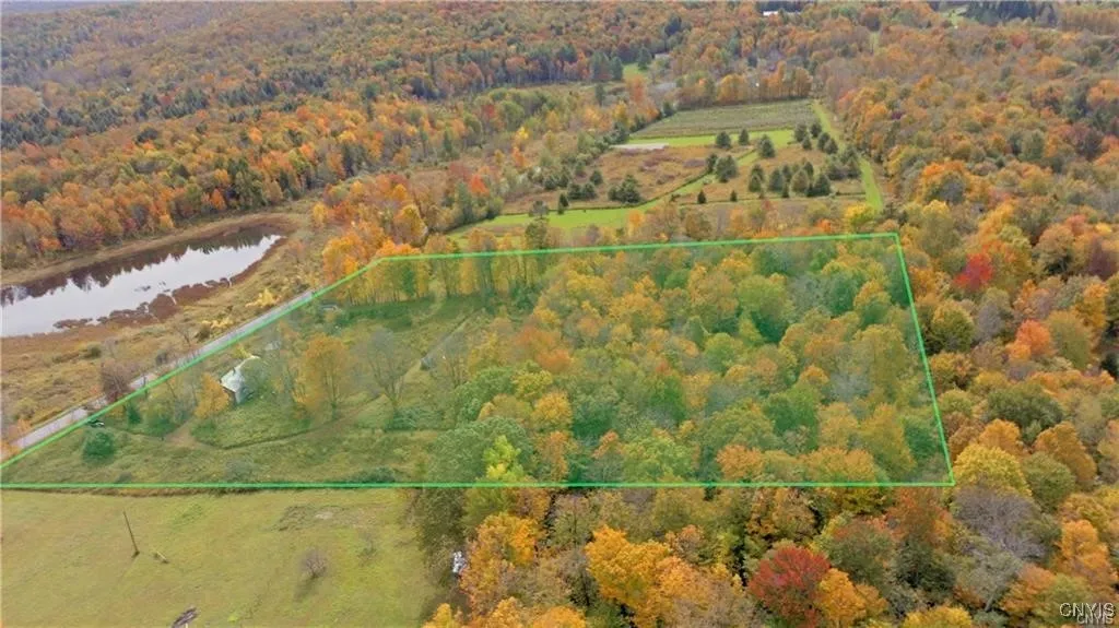 Property at 249 Peraglie Road, Jefferson, NY 12093