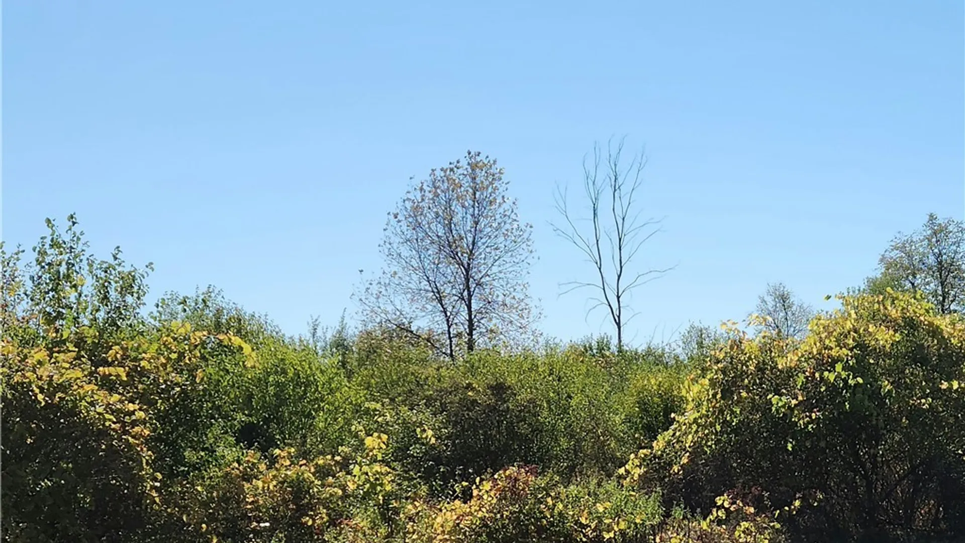 Property at 3350 Bedford Corners Road, Cape Vincent, NY 13618 33