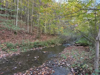 Property at 0 Eelpot Road, Naples, NY 14512