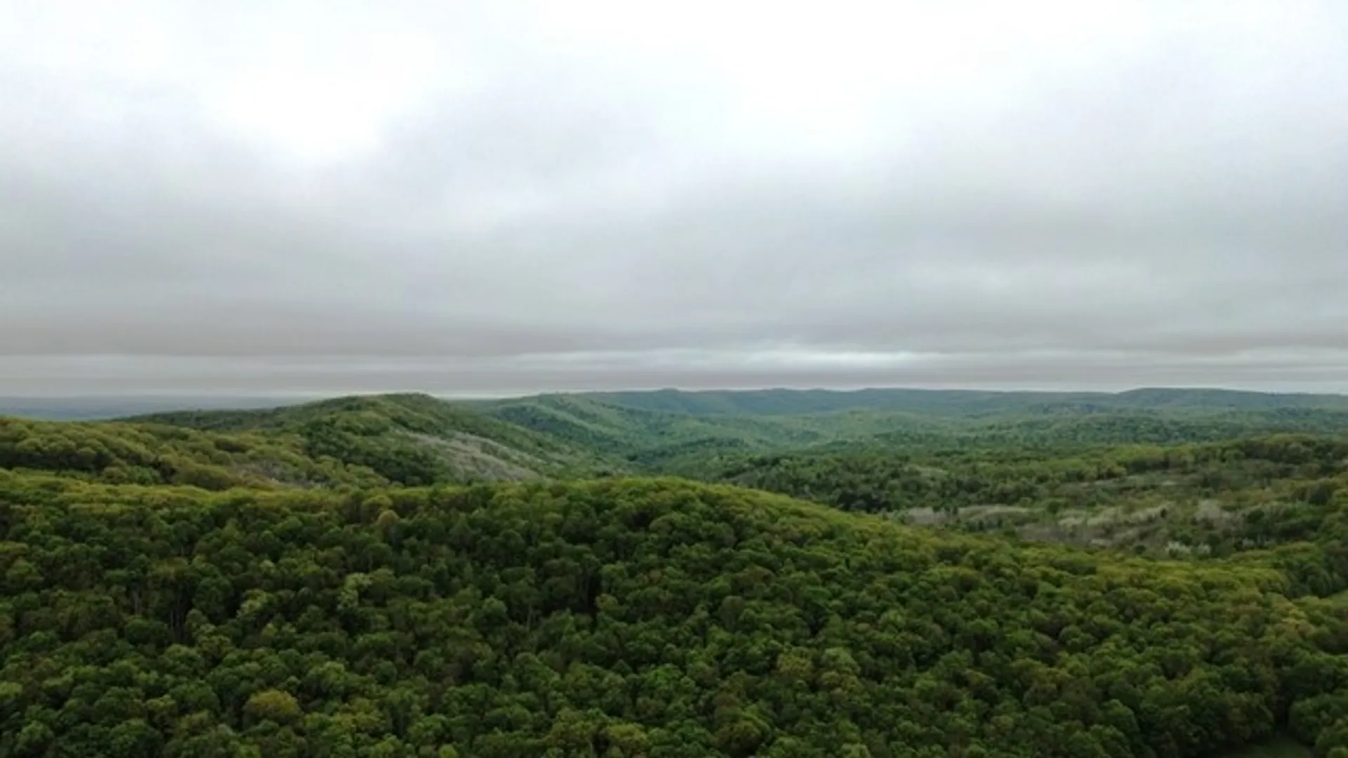 Property at 2564 Moore Hill Road, Shippen Twp, PA 15834 3
