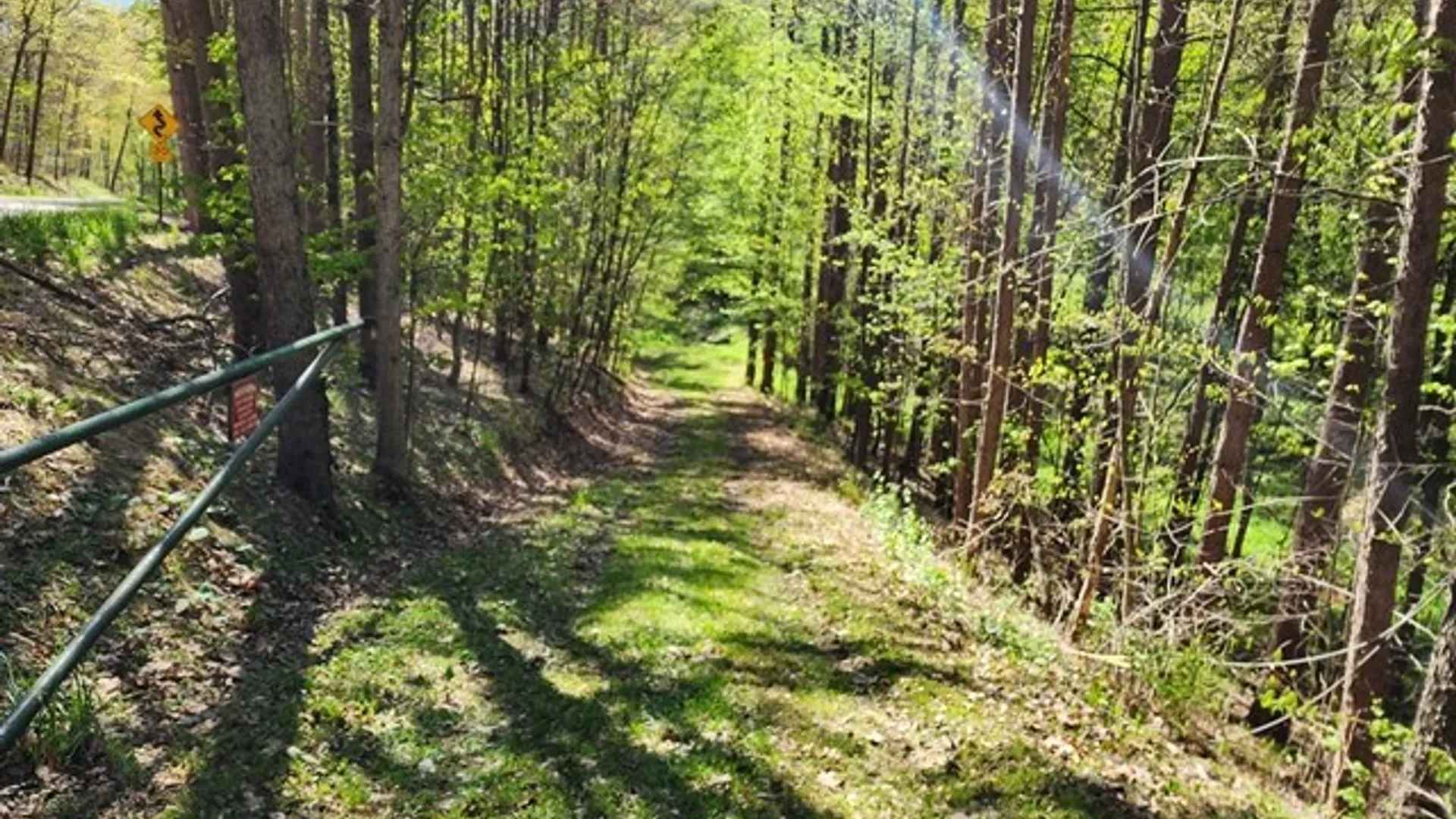 Property at 2564 Moore Hill Road, Shippen Twp, PA 15834 7