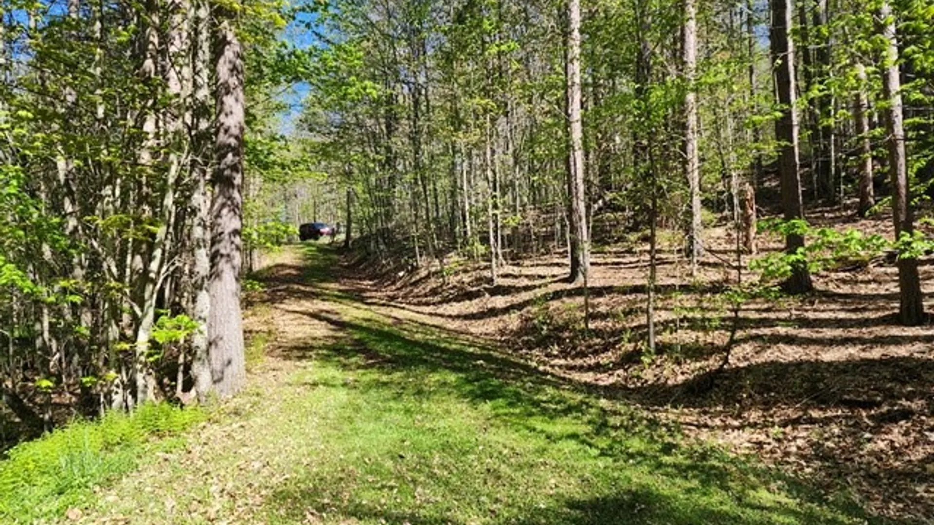 Property at 2564 Moore Hill Road, Shippen Twp, PA 15834 8