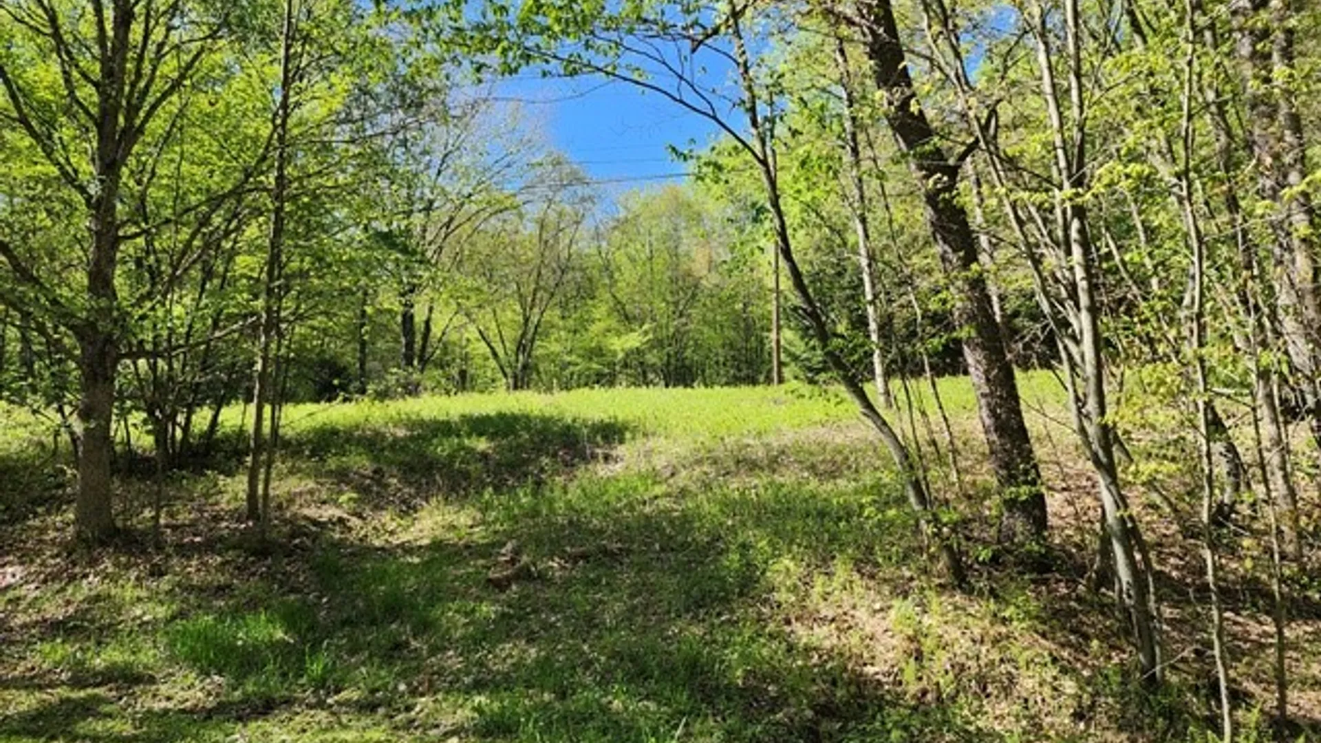 Property at 2564 Moore Hill Road, Shippen Twp, PA 15834 9