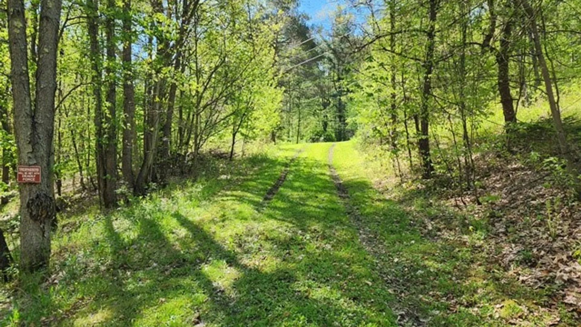 Property at 2564 Moore Hill Road, Shippen Twp, PA 15834 10
