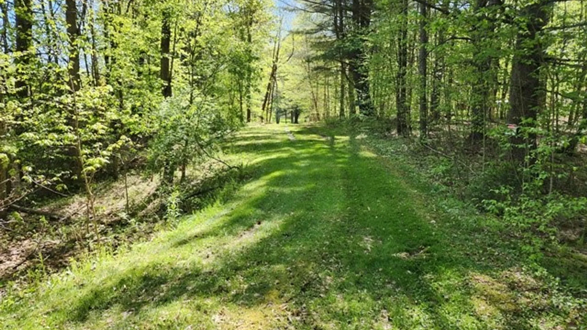 Property at 2564 Moore Hill Road, Shippen Twp, PA 15834 11