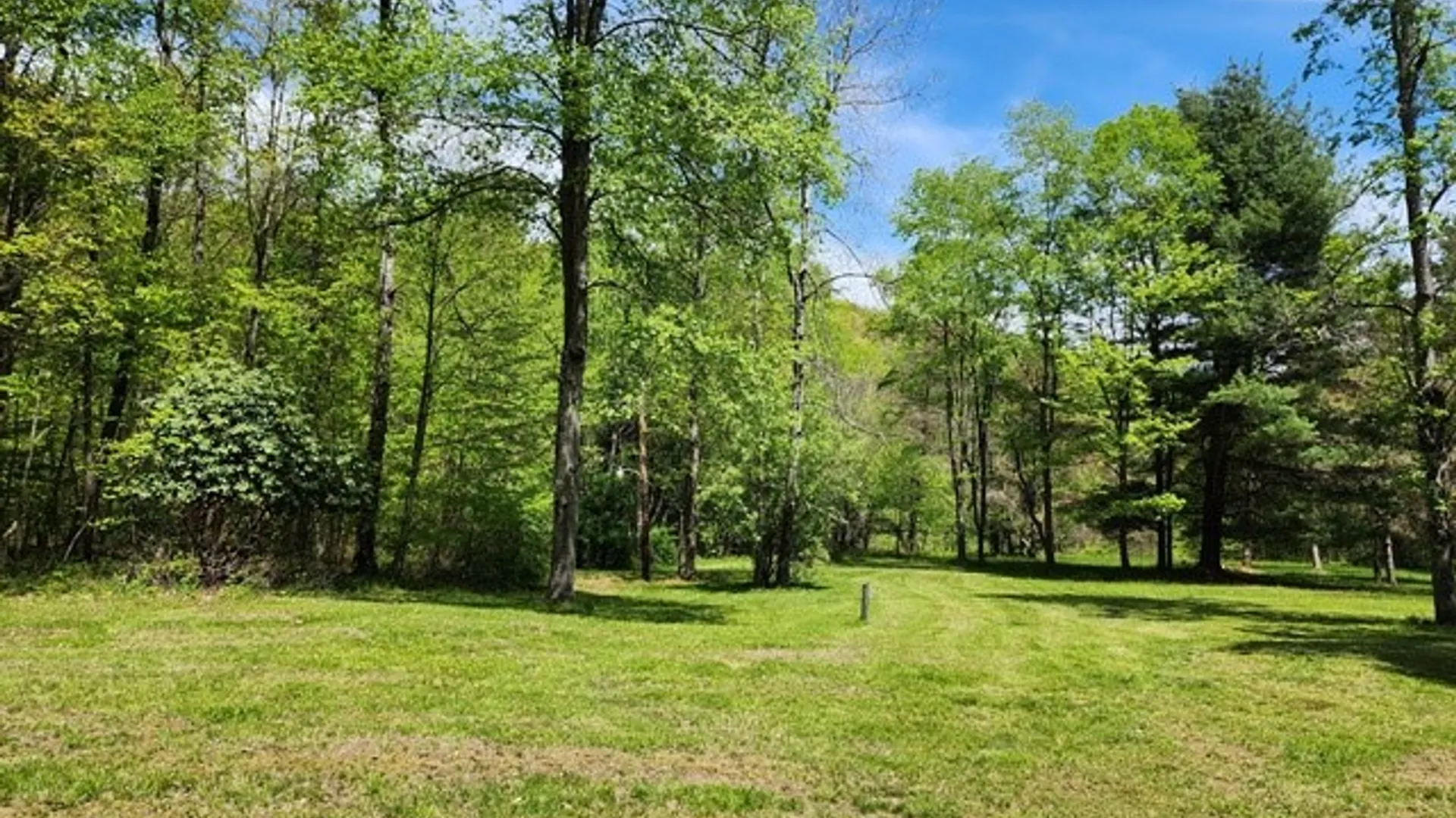 Property at 2564 Moore Hill Road, Shippen Twp, PA 15834 17