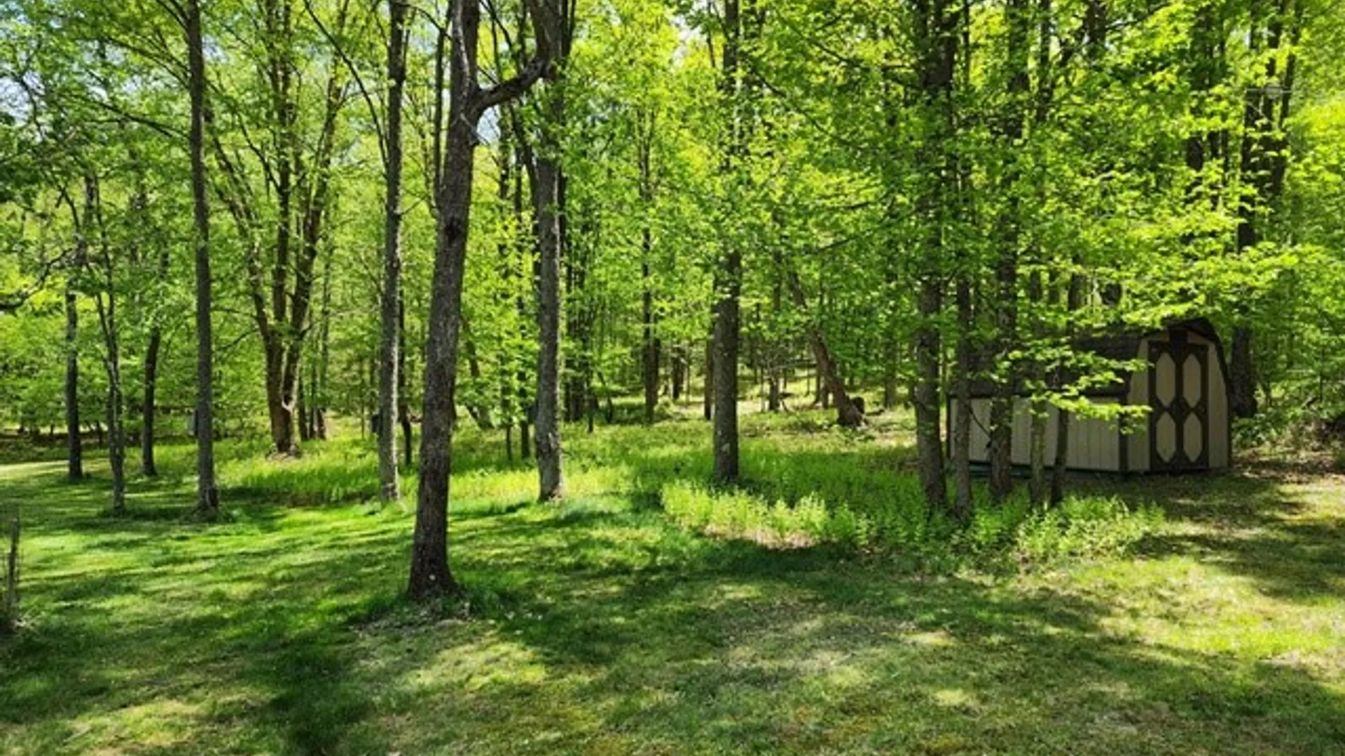 Property at 2564 Moore Hill Road, Shippen Twp, PA 15834 22