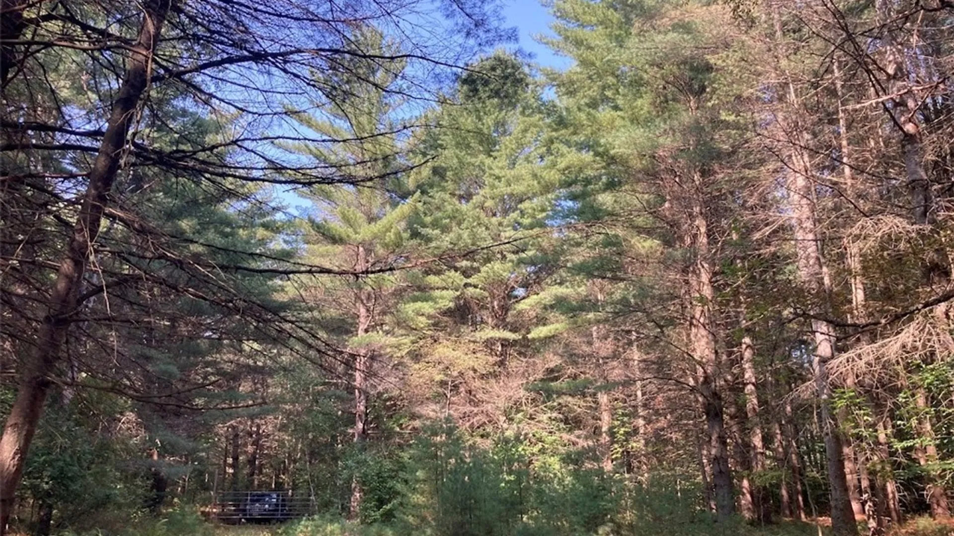 Property at 5753 Van Arnam Road, Greig, NY 13345 16