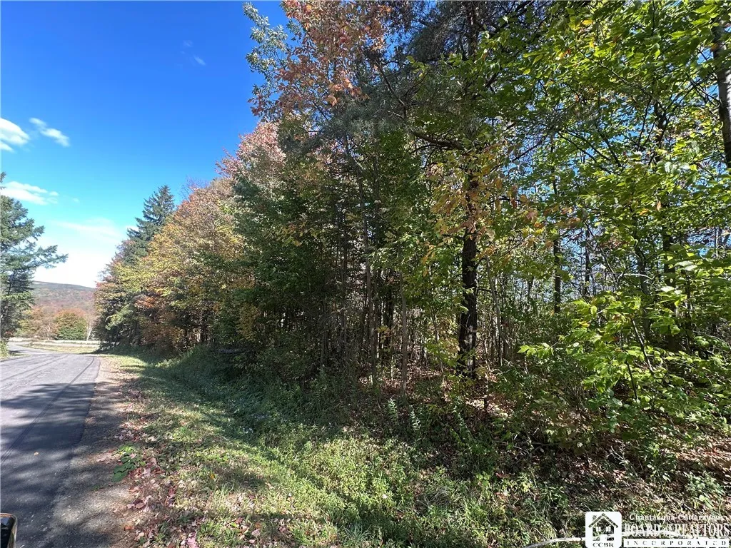 Property at Prill Road, Ashford, NY 14729