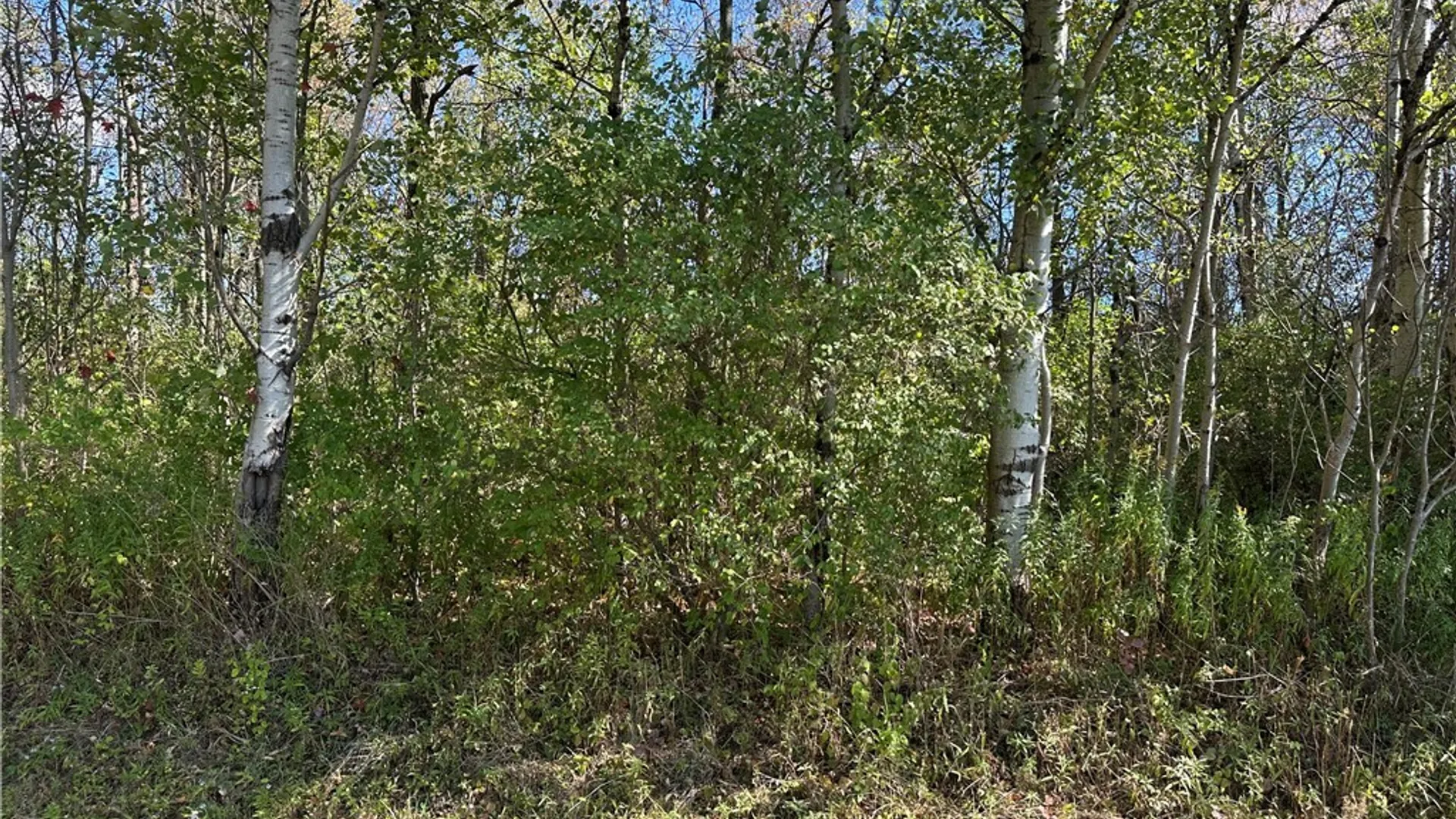 Property at Prill Road, Ashford, NY 14729 3