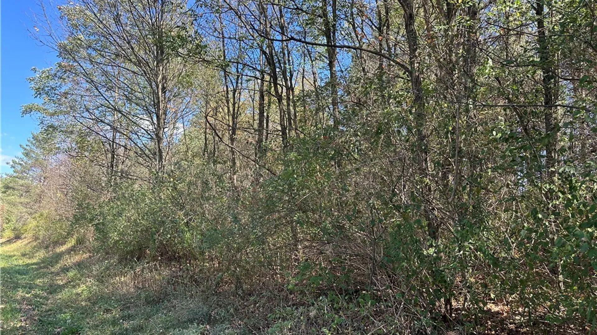Property at Prill Road, Ashford, NY 14729 5