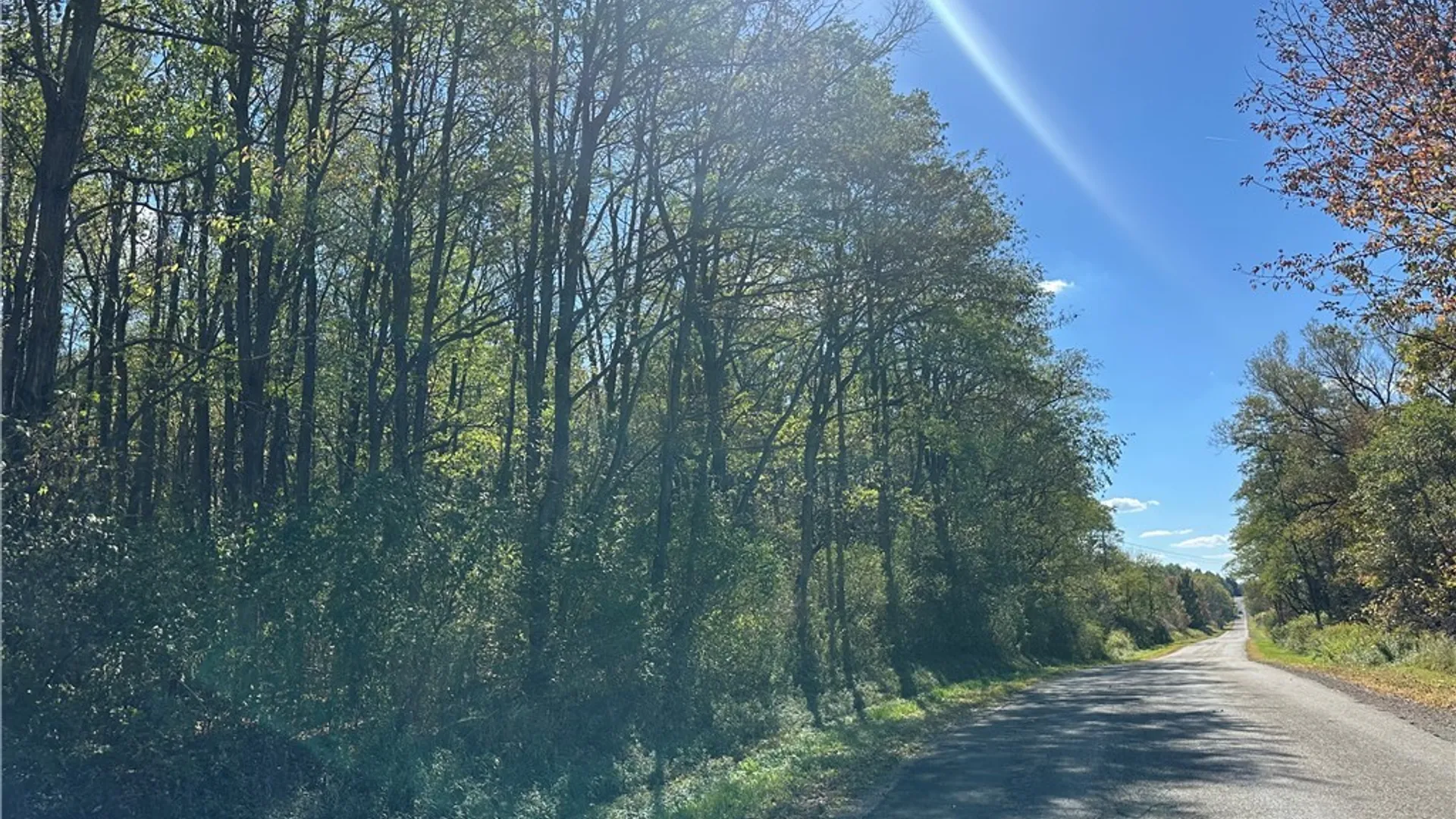 Property at Prill Road, Ashford, NY 14729 6