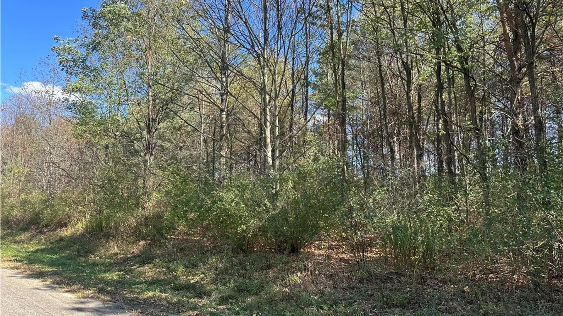 Property at Prill Road, Ashford, NY 14729 7