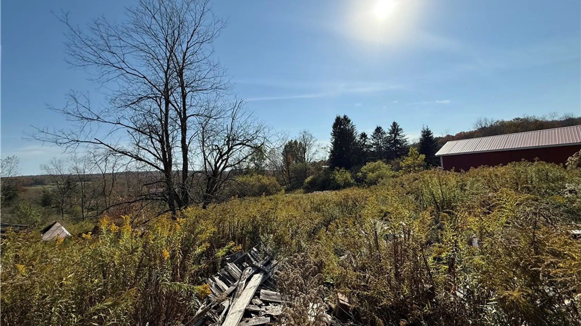 Property at 878 County Road 10, Pharsalia, NY 13815 5