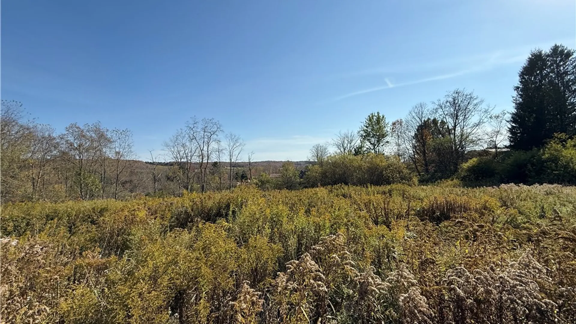 Property at 878 County Road 10, Pharsalia, NY 13815 8