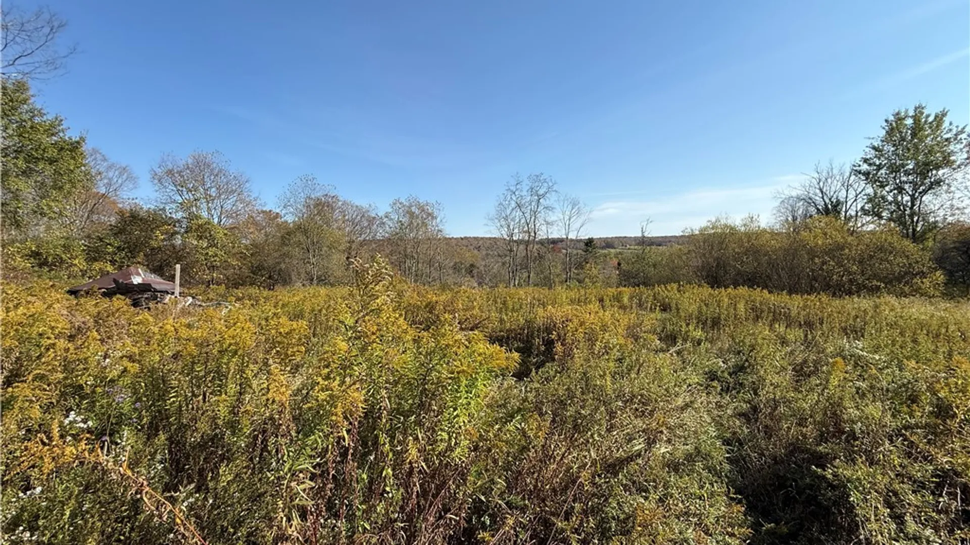 Property at 878 County Road 10, Pharsalia, NY 13815 9
