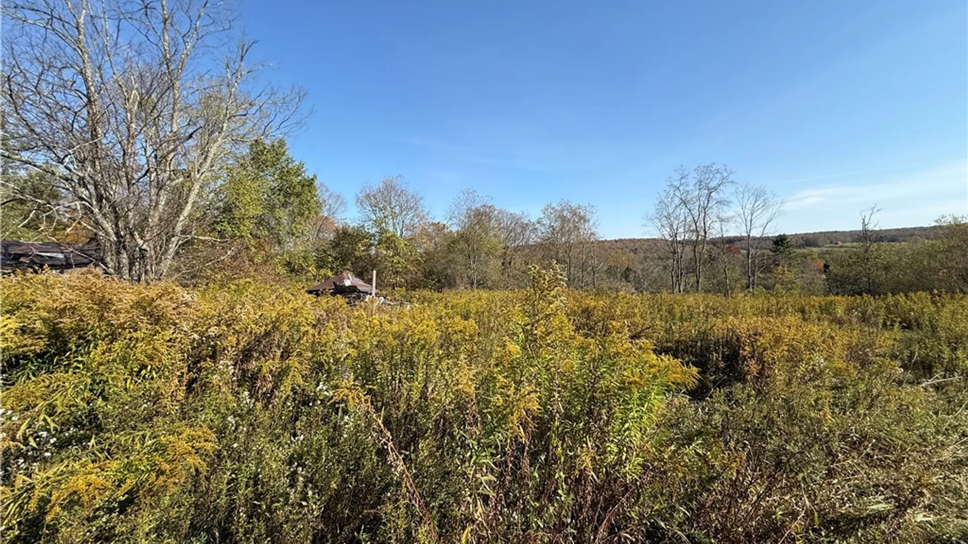 Property at 878 County Road 10, Pharsalia, NY 13815 10