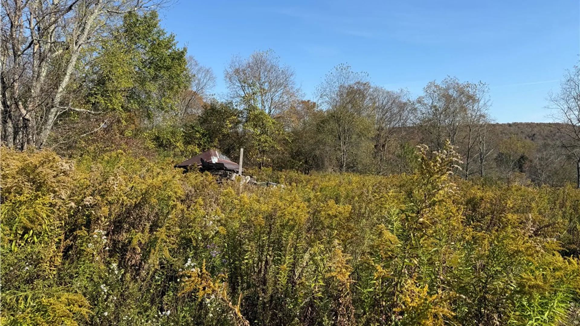 Property at 878 County Road 10, Pharsalia, NY 13815 11