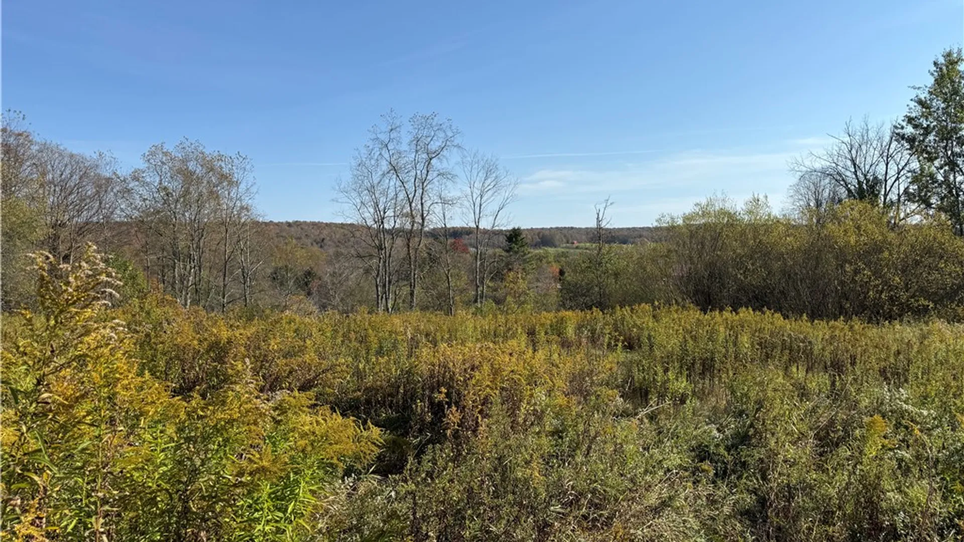 Property at 878 County Road 10, Pharsalia, NY 13815 12