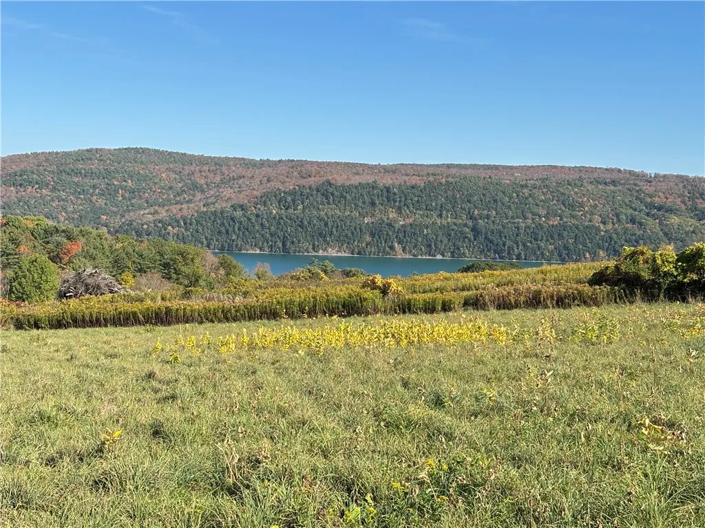 Property at 0 County Highway 28, Otsego, NY 13326