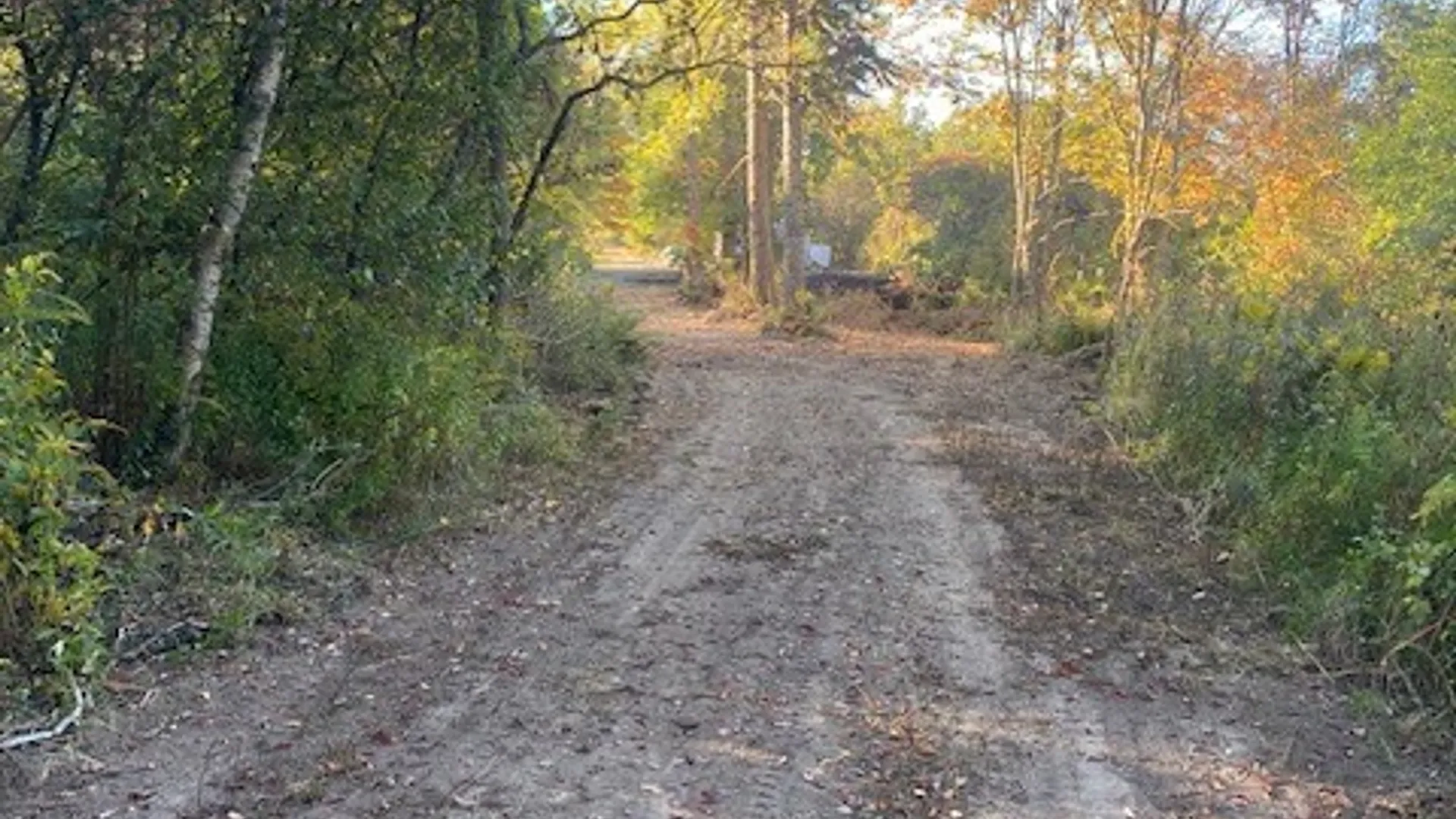 Property at 5460 Weaver Road, Ellery, NY 14712 4