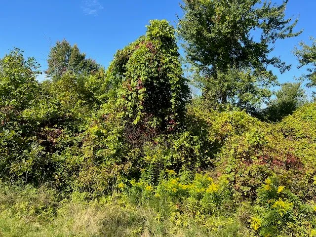Property at 610 Ballantyne Road, Chili, NY 14546