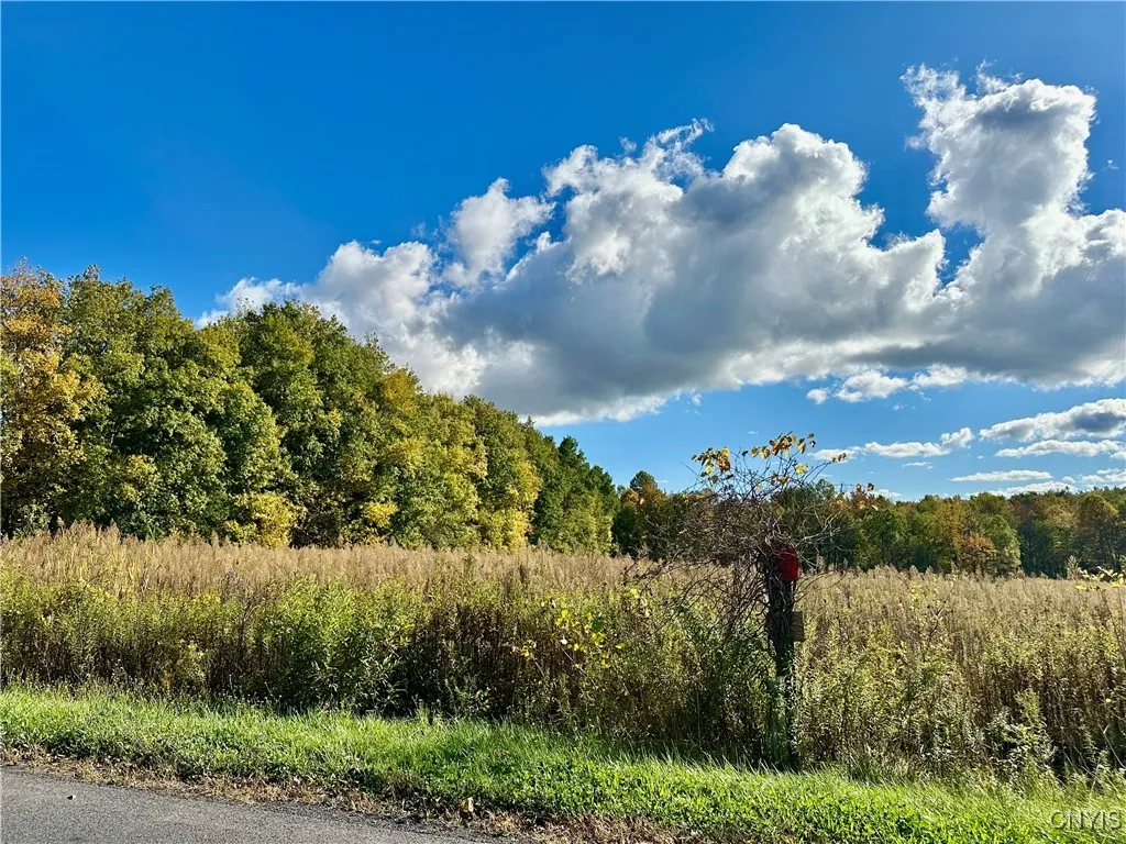 Property at Harris Hill Road, Hannibal, NY 13074