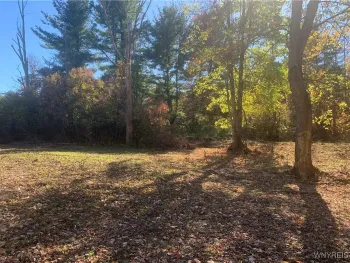 Property at North Road, Perrysburg, NY 14129