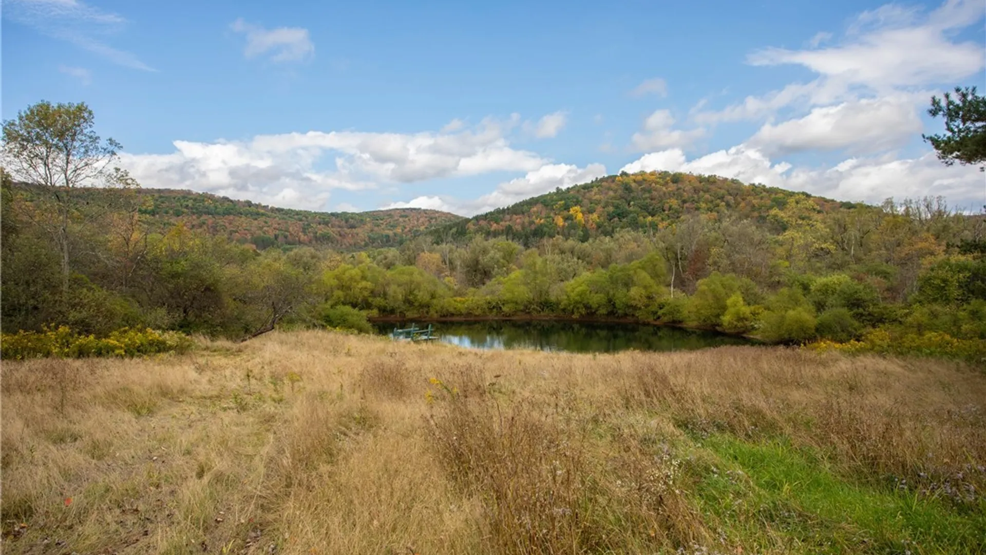Property at 5029 Humphrey Road, Great Valley, NY 14741 44
