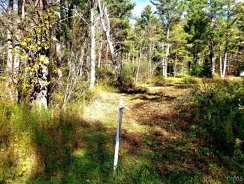 Property at 0 Midline Road, Dryden, NY 13068