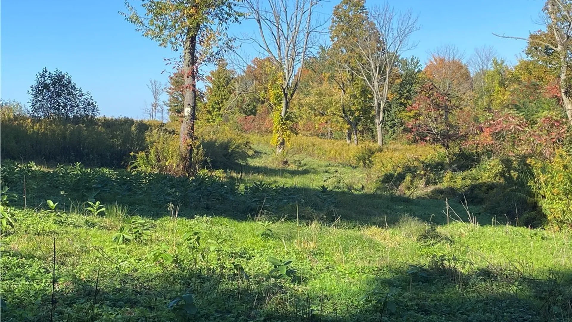 Property at 12795 Scott Bluff Drive, Wolcott, NY 14590 18