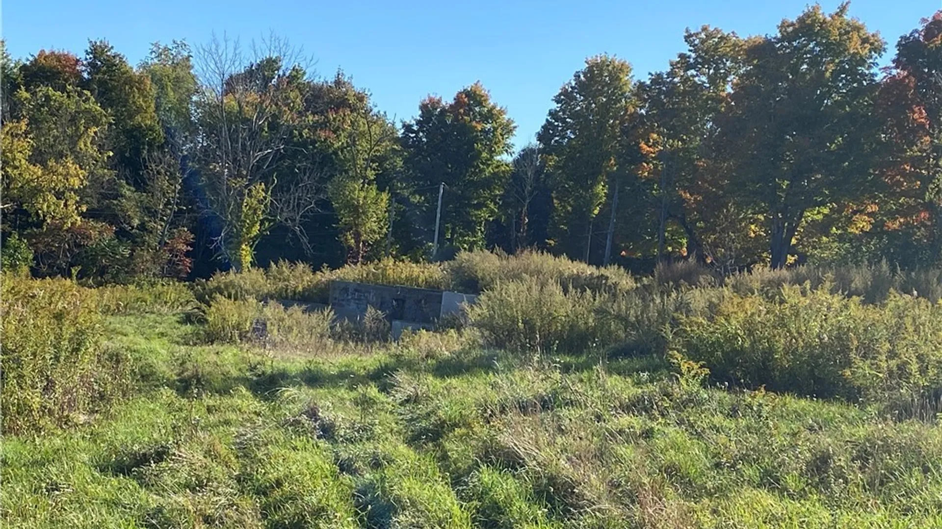 Property at 12795 Scott Bluff Drive, Wolcott, NY 14590 25
