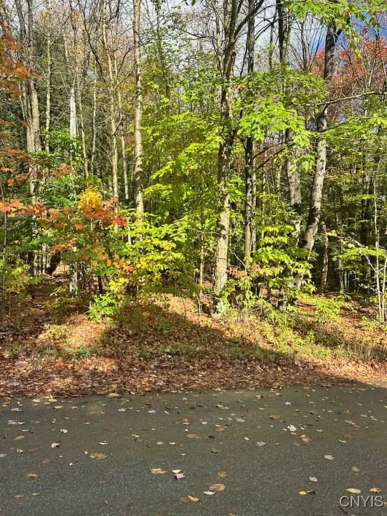 Property at Silverstone Road, Russia, NY 13438